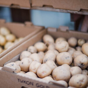 Muga Manioc Bio (Frais)